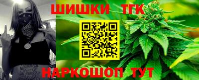 шишки Лесосибирск
